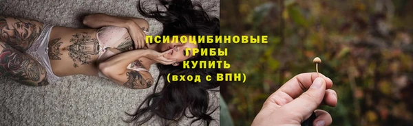 ПСИЛОЦИБИНОВЫЕ ГРИБЫ Армянск