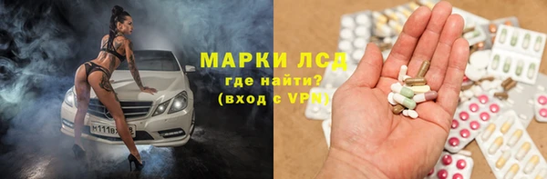 гидра Аркадак