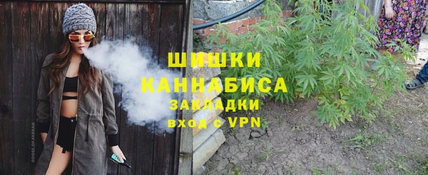 гидра Аркадак