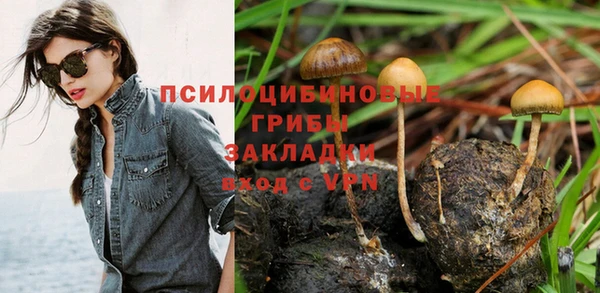 гидра Аркадак