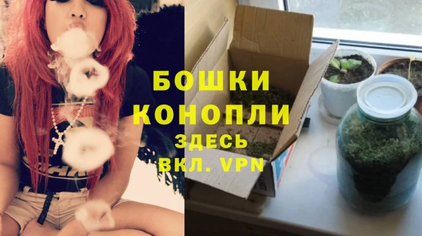 гидра Аркадак
